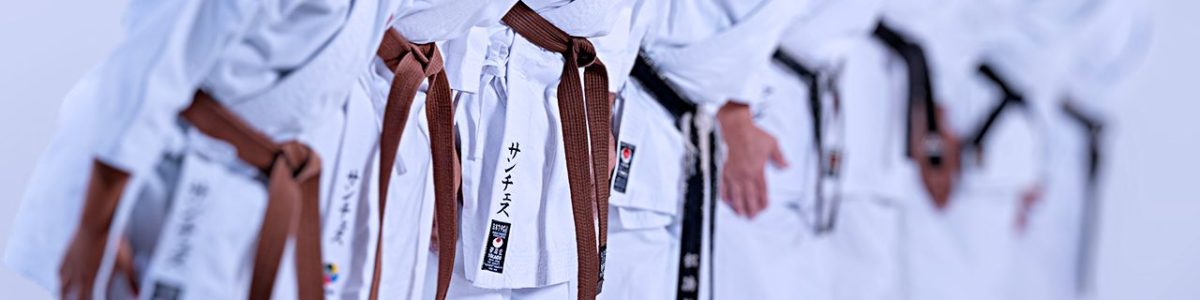 1280x400-header-jka-arizona-dojo-rules